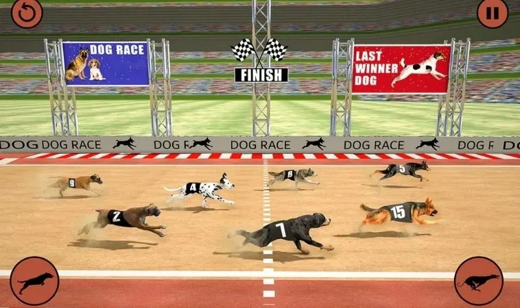 Giao diện chơi game nhanh Đua Chó tại 888B